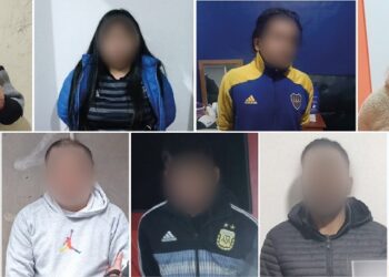 Operativo «Mula Embarazada»: Once detenidos al desbaratar una organización criminal
