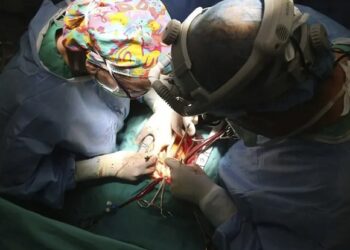 España alcanza un nuevo récord en trasplantes