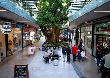 Promociones y descuentos en un solo lugar marcan el ritmo del consumo