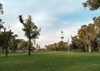 Invierno en la Ciudad con ferias gastronómicas y otras yerbas