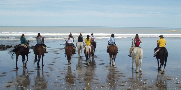 Vacaciones con aire de mar y campo en Tres Arroyos