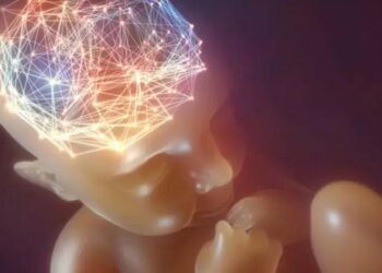 Melatonina para combatir lesiones neuronales en los recién nacidos