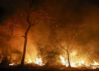 Se agrava la emergencia por incendios en Brasil