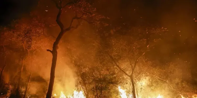 Se agrava la emergencia por incendios en Brasil
