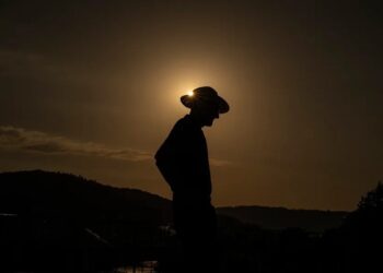 Más de 1.330 muertes en España atribuibles al calor en lo que va de agosto, un 47 % más que en 2023