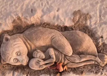 Una bella escultura de arena de la osa Kj1 en playa de Sassari