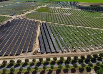 La energía solar supera por primera vez al carbón fósil en la generación de electricidad en Europa