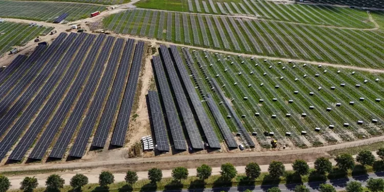 La energía solar supera por primera vez al carbón fósil en la generación de electricidad en Europa