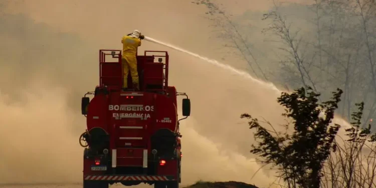 Soldados contra los desastres climáticos en Brasil