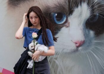 China tiene más perros y gatos que niños