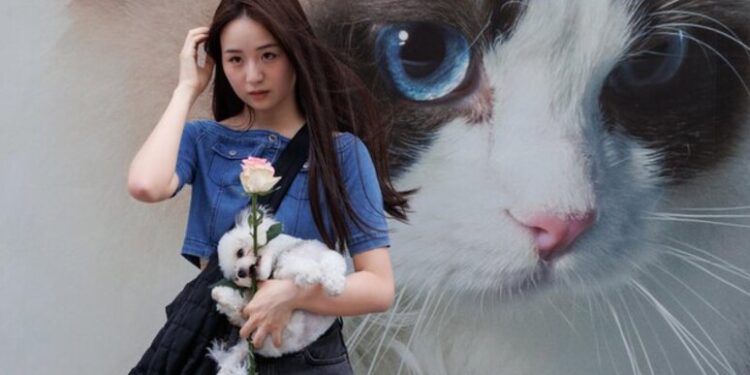 China tiene más perros y gatos que niños