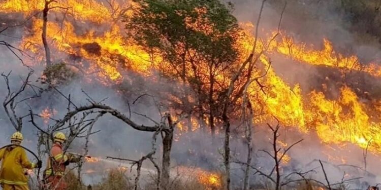 Córdoba: Cuatro focos activos y un panorama complicado