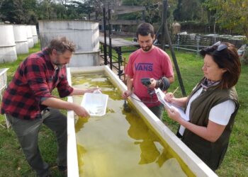 La FAUBA colabora en la lucha contra el dengue