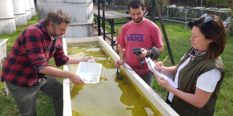 La FAUBA colabora en la lucha contra el dengue
