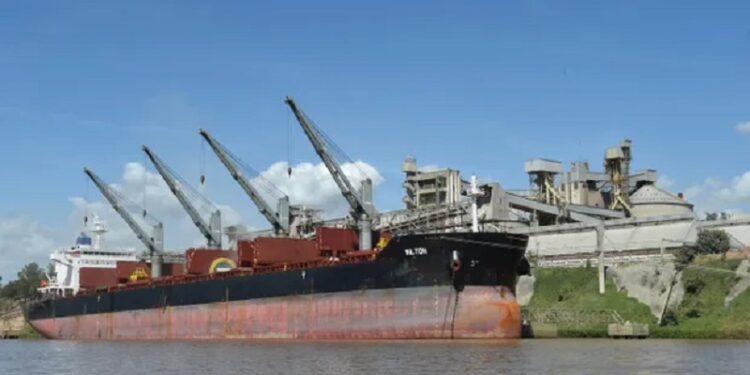 Los agroexportadores liquidaron menos dólares que en julio y la industria aceitera sufre el ritmo moderado de las ventas y fijaciones