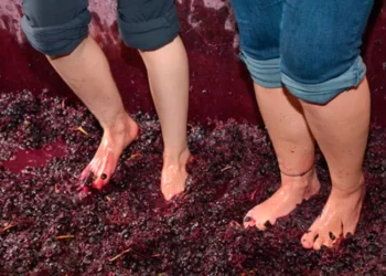 Qué hay en la grieta del pisado artesanal de uvas