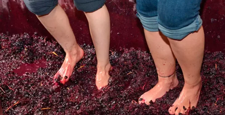 Qué hay en la grieta del pisado artesanal de uvas