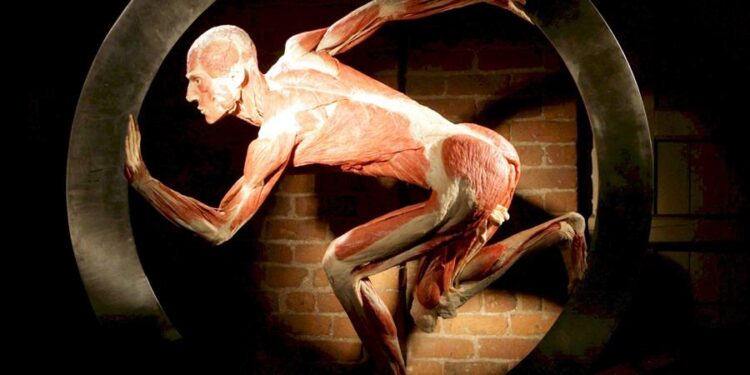 Trocanteritis, ese intenso y complejo dolor en la cadera