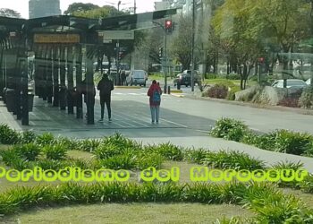 Los gremios del transporte anunciaron un paro de 24 horas: cuándo será