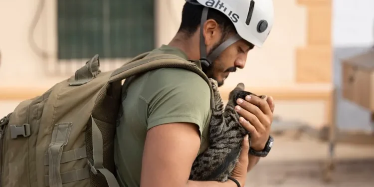 Más de 2.500 militares trabajan en las zonas más perjudicadas de España