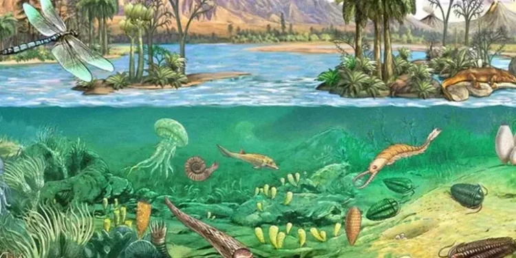 Hallan un ecosistema fósil prehistórico