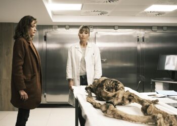 Los desaparecidos de la selva negra:  la nueva miniserie que llega a Europa Europa