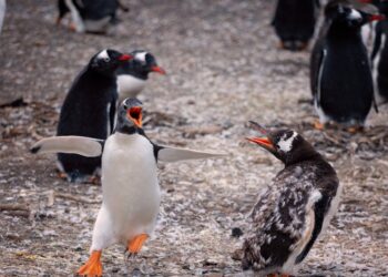 Los destinos más solicitados y los más insólitos para visitar durante las fiestas