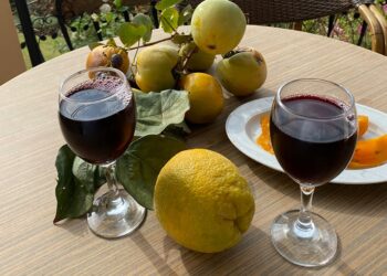 Qué es la acidez en los vinos y cómo hay que reconocerla