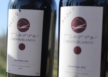 Los vinos bonaerenses tienen identidad propia