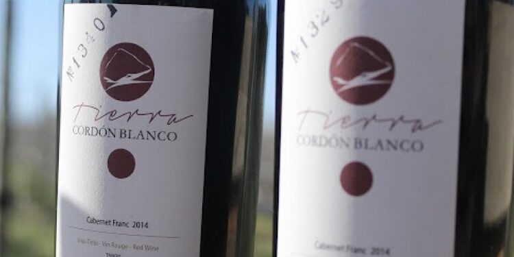 Los vinos bonaerenses tienen identidad propia