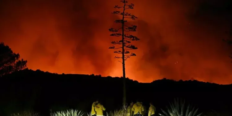 En los fuegos de Los Angeles, el viento da tregua pero arde la ira
