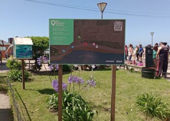Miramar, la combinación perfecta entre el mar y la naturaleza para disfrutar en familia del verano