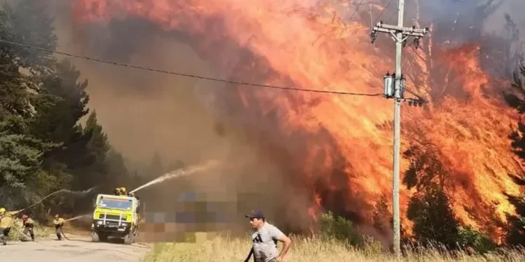 «La situación es desgarradora”, dijo el presidente del comité de Bomberos de El Bolsón