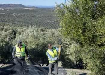 España atrae a los extranjeros para trabajar y el noroeste sube un 14 % en un año