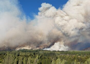Los incendios en la Patagonia no se detienen y afectan a más de 20.000 hectáreas