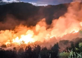 «Se está quemando todo», la desesperación del intendente de El Bolsón por el fuego descontrolado