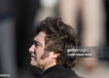 La imagen digital de Javier Milei cayó un 9% después de su discurso en Davos