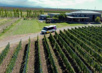 Wine Bus, la opción Low Cost express para recorrer Luján de Cuyo