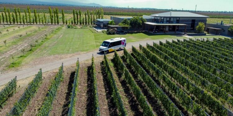 Wine Bus, la opción Low Cost express para recorrer Luján de Cuyo