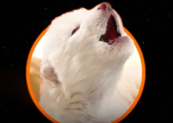 Reviven al lobo huargo de la Casa Stark en la serie Juego de Tronos, extinto hace 13.000 años