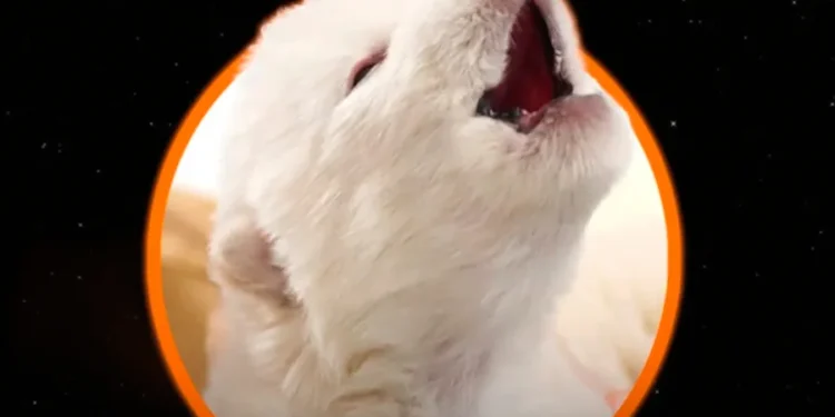 Reviven al lobo huargo de la Casa Stark en la serie Juego de Tronos, extinto hace 13.000 años