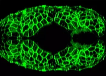 Quienes trabajan de noche envejecen más rápido