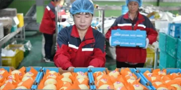 China anunció que comenzó a exportar peras a la Argentina