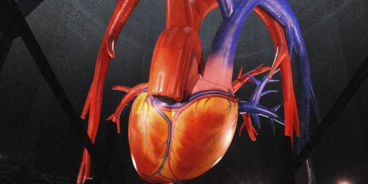 Embolia: causas, síntomas y prevención
