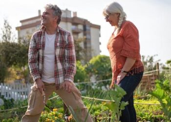 Precios bajo presión: buena siembra en EE.UU. y más grano desde Brasil complican al mercado
