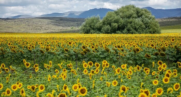 El astroturismo se consolida como tendencia para estas vacaciones de invierno