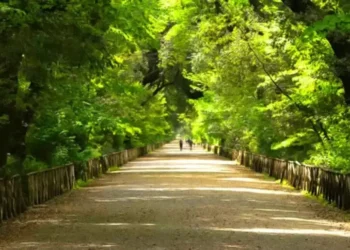 Nápoles recobra el esplendor de un jardín histórico