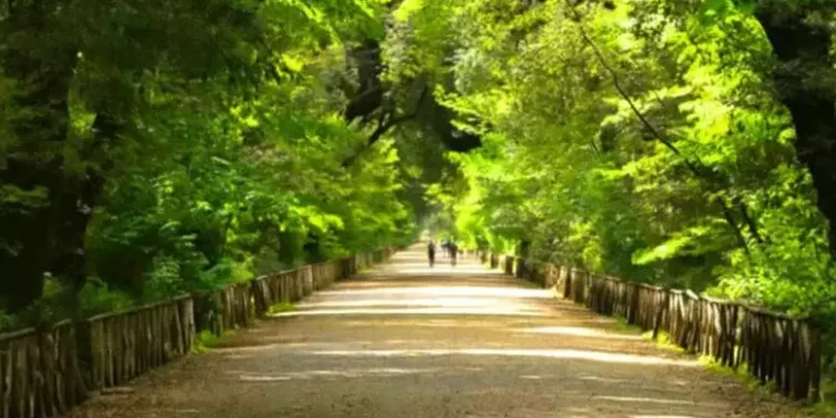 Nápoles recobra el esplendor de un jardín histórico