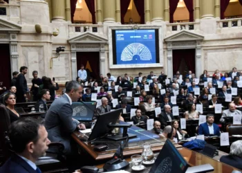 La oposición quiso destrabar la presidencia de la comisión Libra pero Menem le puso un freno y quedó pendiente