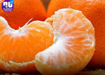 Los beneficios de comer la noble fruta de la mandarina en invierno
